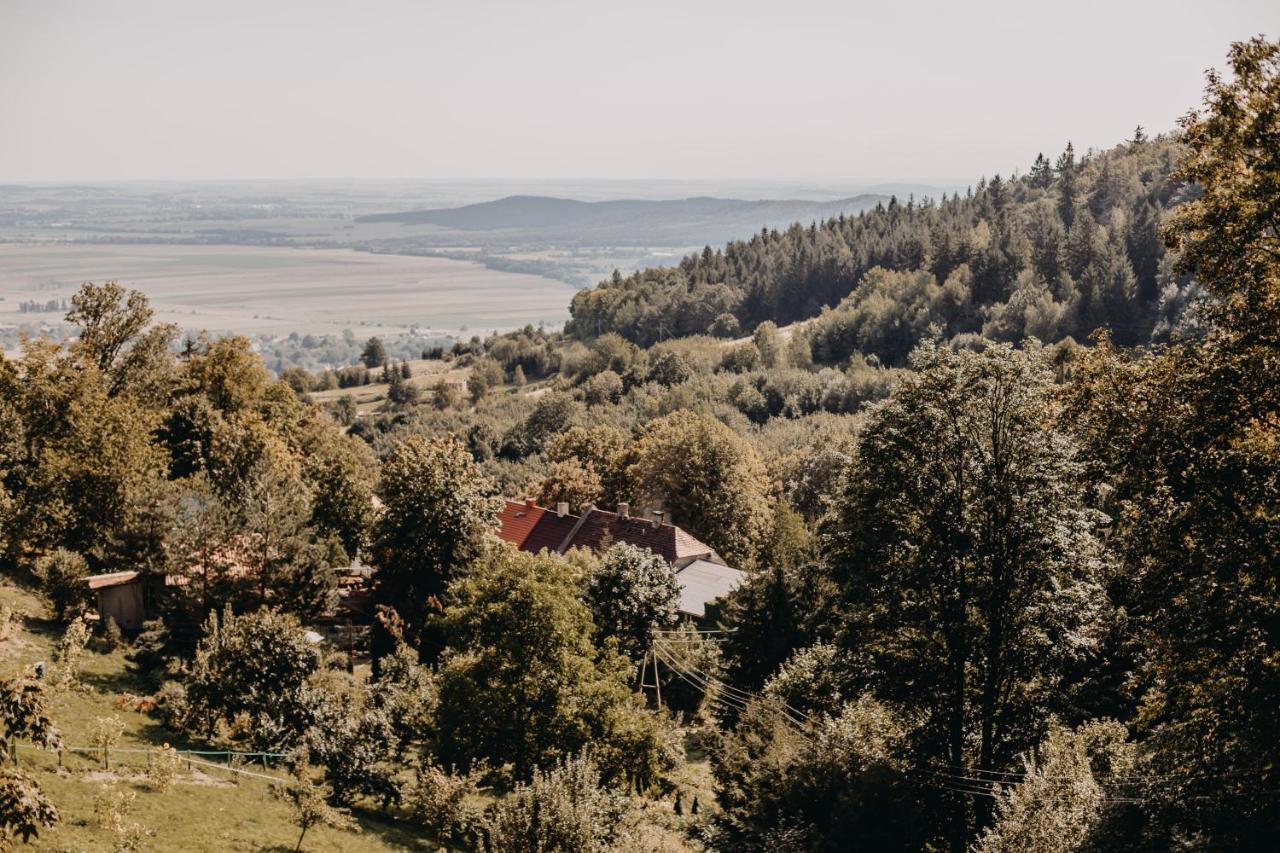 Srebrna Góra Villa Hubertus מראה חיצוני תמונה