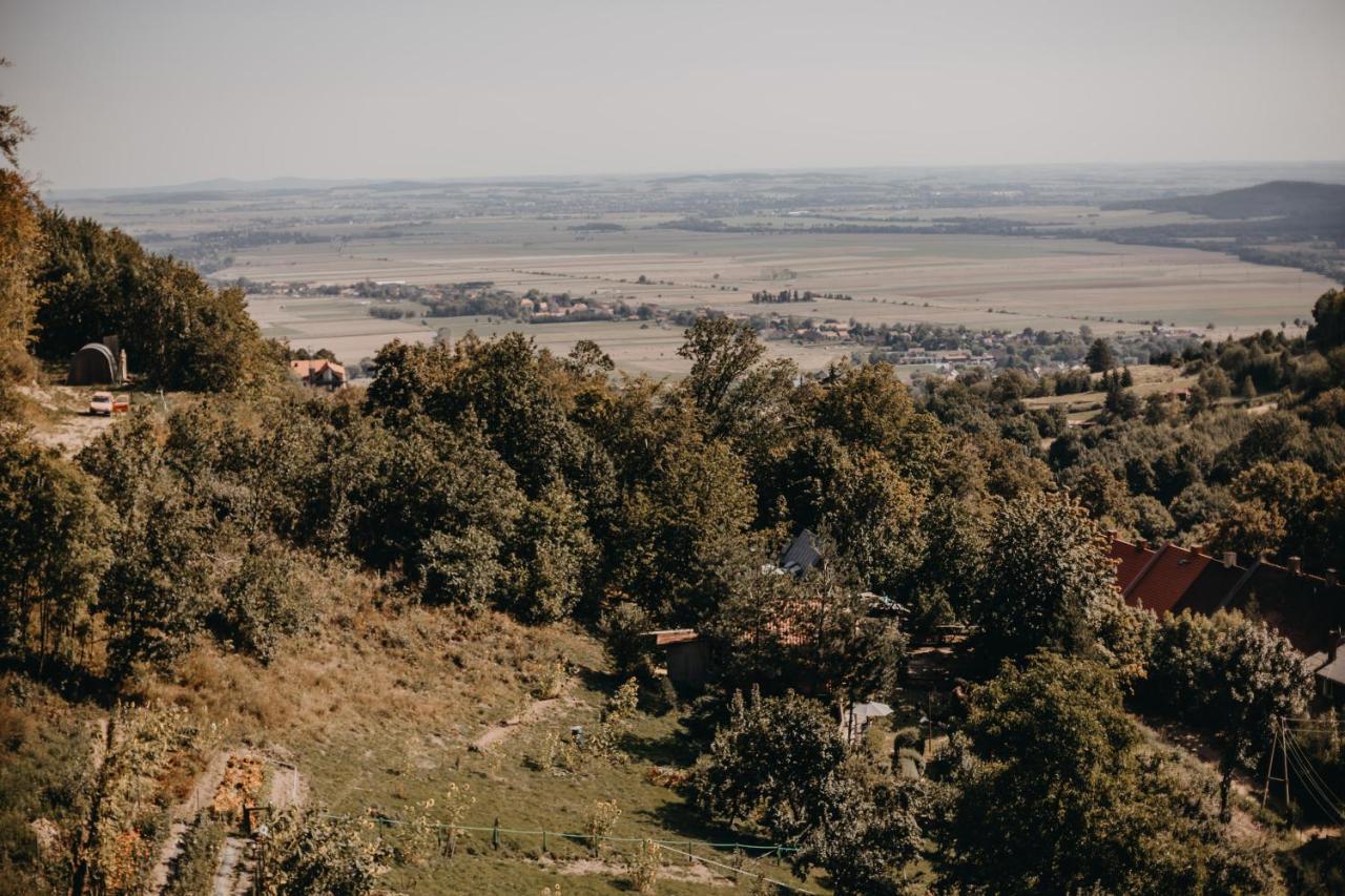 Srebrna Góra Villa Hubertus מראה חיצוני תמונה